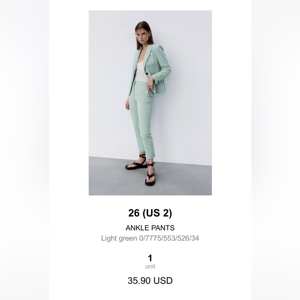 Zara Anke Pants, XS, New w/tags
